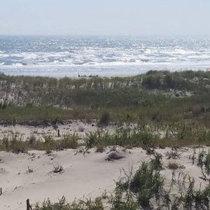 Meet your Posher, Patsi